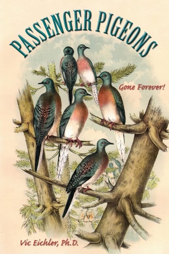 Passenger Pigeons Gone Forever