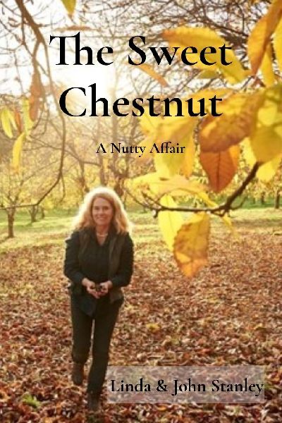The Sweet Chestnut: A Nutty Affair