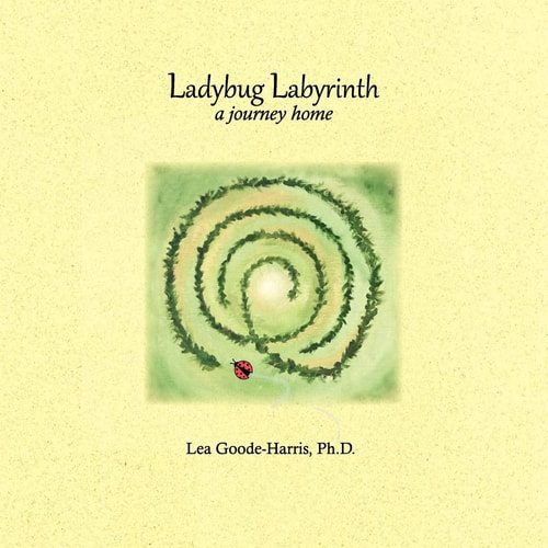 Ladybug Labyrinth A Journey Home
