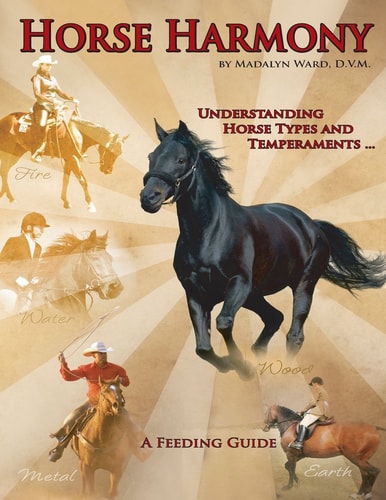 Horse Harmony A Feeding Guide