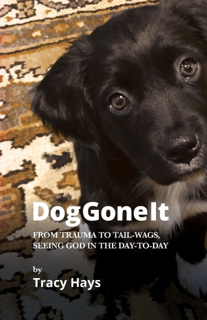 Dog Gone It: From Trauma to Tail-Wags, Seeing God in the Day-to-Day
