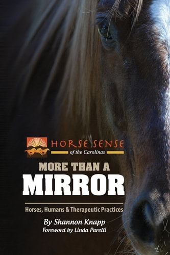 More Than a Mirror Horses, Humans & Therapeutic Practices