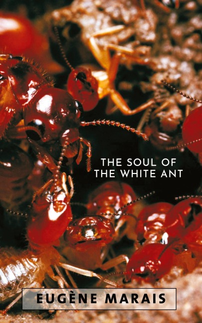 The Soul of the White Ant