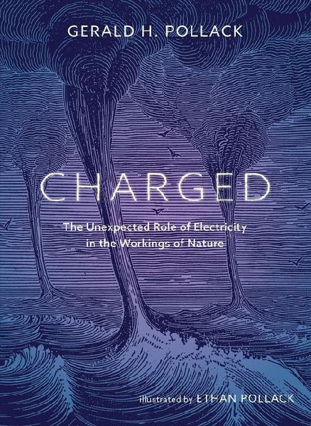 Charged: The Unexpected Role of Electricity in the Workings of Nature