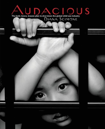 Audacious The Bold, Brave, Brazen Plan to Shut Down the Global Child Sex Industry