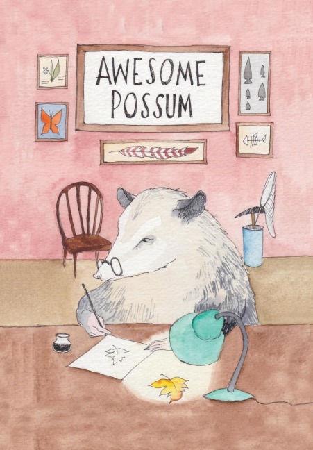 Awesome Possum, Volume 1