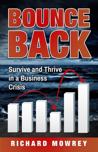 Bounce Back Survive and Thrive in a Business Crisis