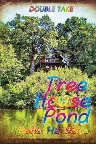 Tree House Pond Double Take