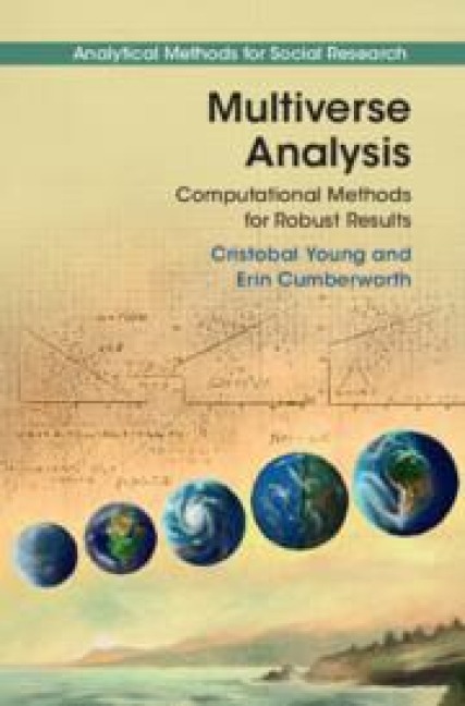 Multiverse Analysis