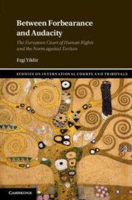 Between Forbearance and Audacity: The European Court of Human Rights and the Norm Against Torture