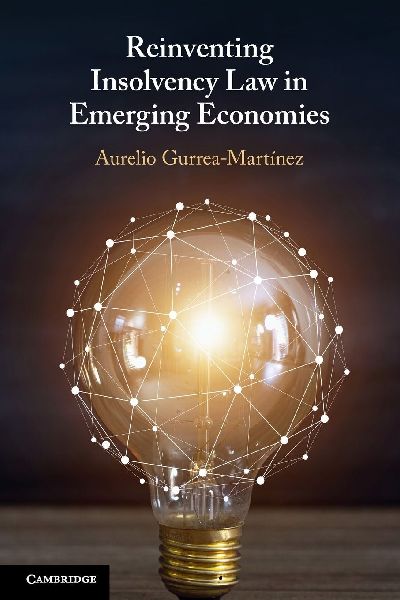 Reinventing Insolvency Law in Emerging Economies