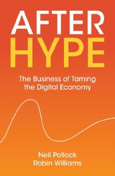 After Hype: The Business of Taming the Digital Economy