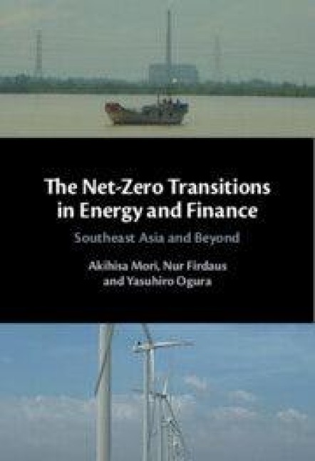 The Net-Zero Transitions in Energy and Finance