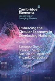 Embracing the Circular Economy in Developing Nations: A Pathway to Sustainable Growth and Resilience