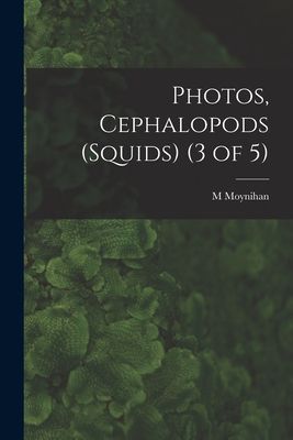 Photos, Cephalopods (Squids) (3 of 5)