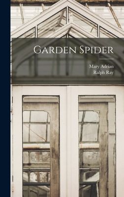 Garden Spider