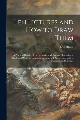 Pen Pictures and How to Draw Them: a Practical Handbook on the Various Methods of Illustrating in Black and White for Process Engraving, With Numerous