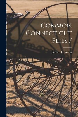 Common Connecticut Flies /