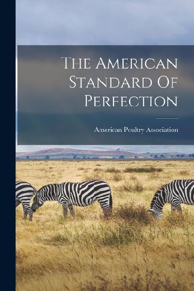The American Standard Of Perfection