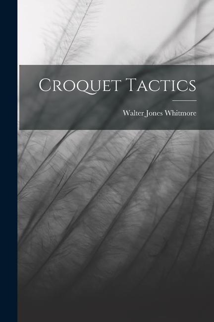 Croquet Tactics