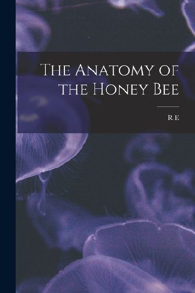 The Anatomy of the Honey Bee