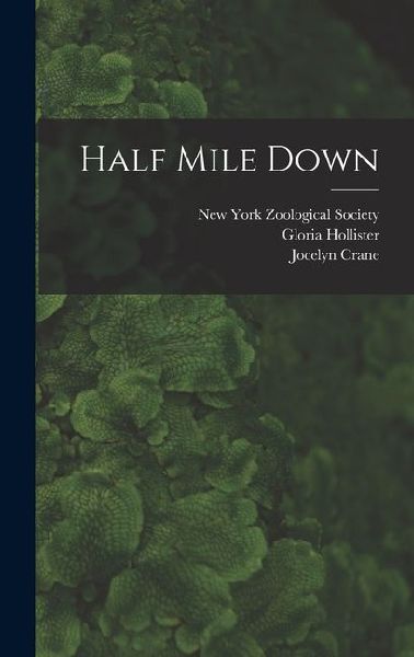 Half Mile Down