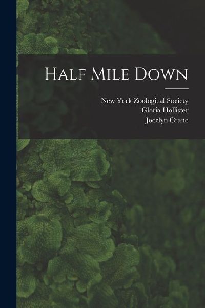 Half Mile Down