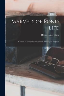 Marvels of Pond Life: A Years Microscopic Recreations Among the Polyzoa
