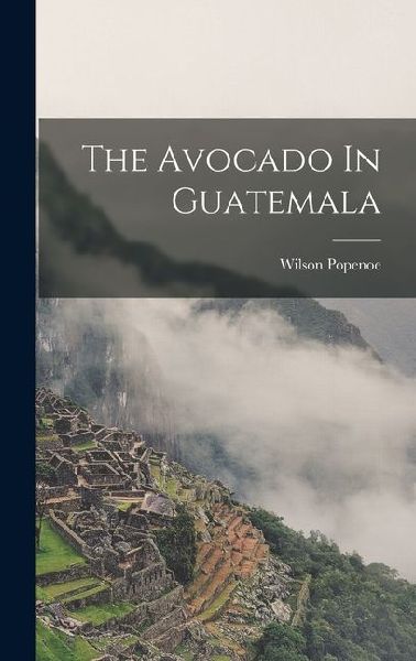 The Avocado In Guatemala