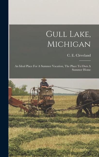 Gull Lake, Michigan: An Ideal Place For A Summer Vacation, The Place To Own A Summer Home