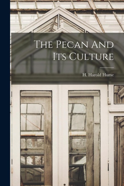 The Pecan And Its Culture