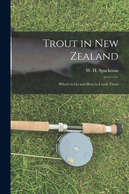 Trout in New Zealand: Where to Go and How to Catch Them
