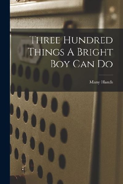 Three Hundred Things A Bright Boy Can Do