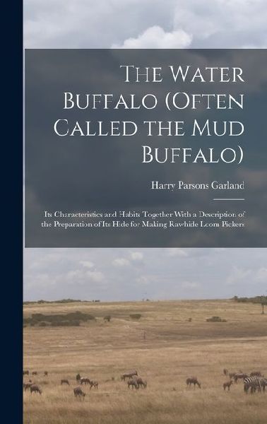 The Water Buffalo (Often Called the Mud Buffalo): Its Characteristics and Habits Together With a Description of the Preparation of Its Hide for Making Rawhide Loom Pickers