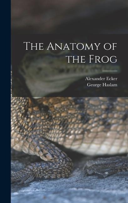 The Anatomy of the Frog