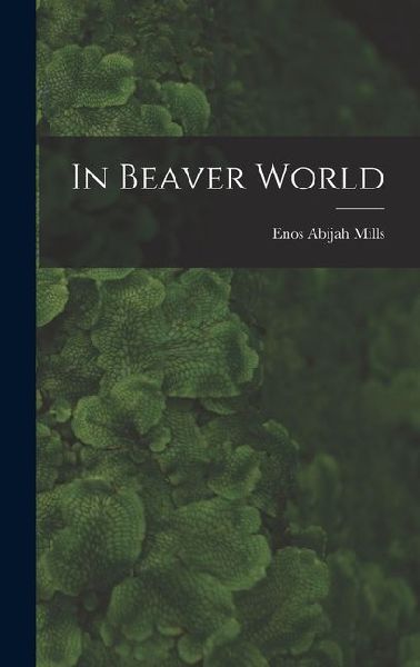 In Beaver World