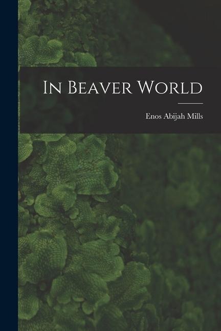 In Beaver World