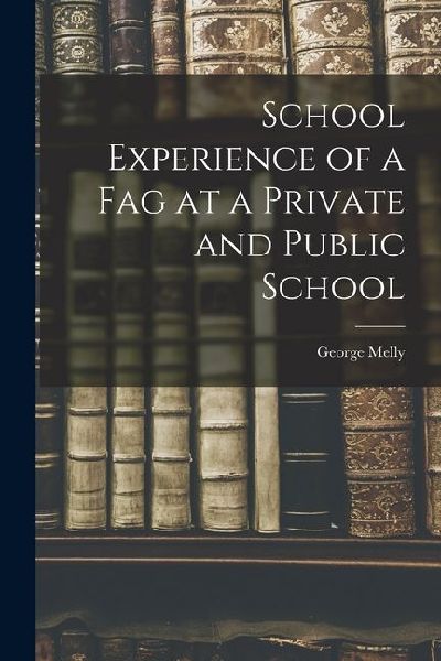School Experience of a Fag at a Private and Public School