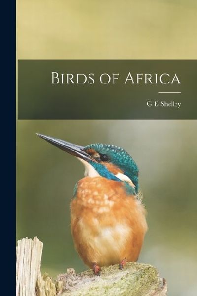 Birds of Africa