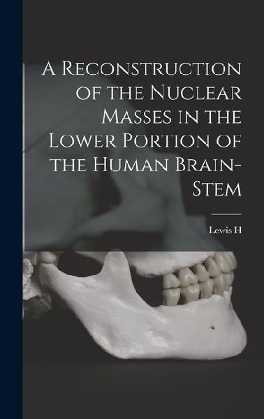 A Reconstruction of the Nuclear Masses in the Lower Portion of the Human Brain-stem
