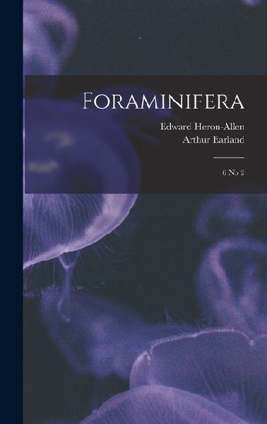 Foraminifera: 6 no 2