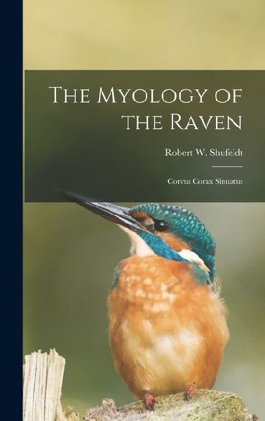 The Myology of the Raven: Corvus Corax Sinuatus