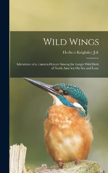 Wild Wings: Adventures of a Camera-Hunter Among the Larger Wild Birds of North America On Sea and Land