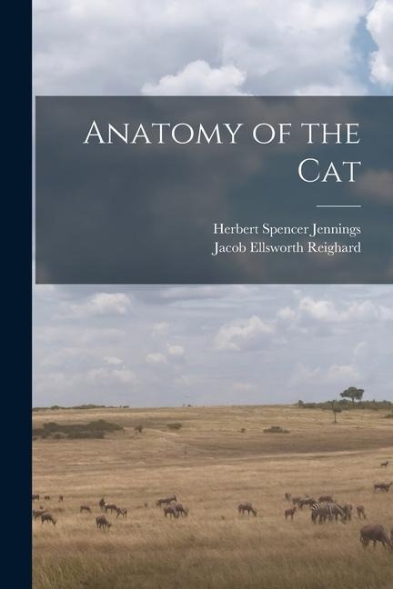 Anatomy of the Cat