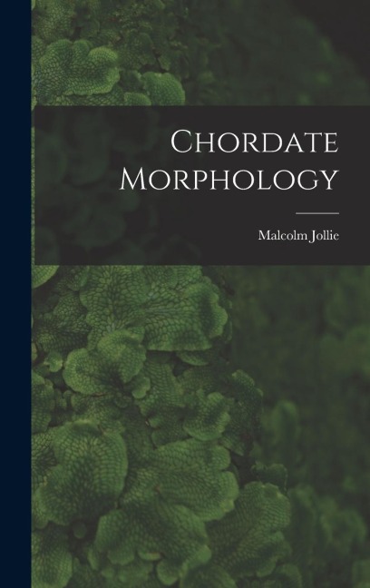 Chordate Morphology