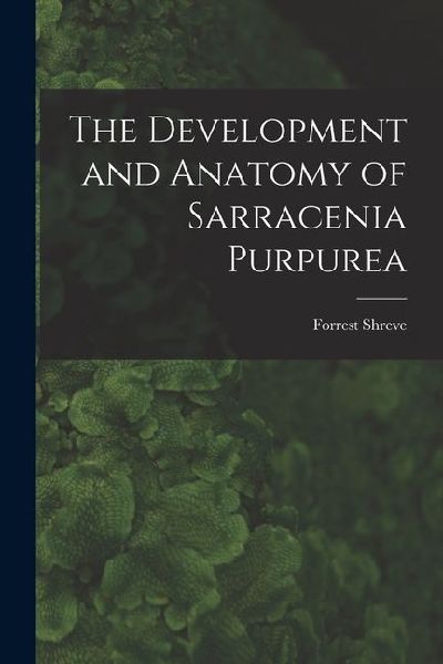 The Development and Anatomy of Sarracenia Purpurea