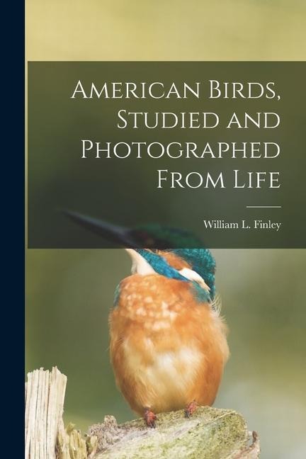 American Birds, Studied and Photographed From Life