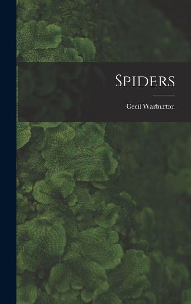 Spiders