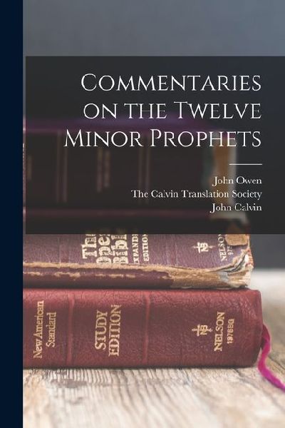 Commentaries on the Twelve Minor Prophets
