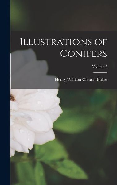 Illustrations of Conifers; Volume 2